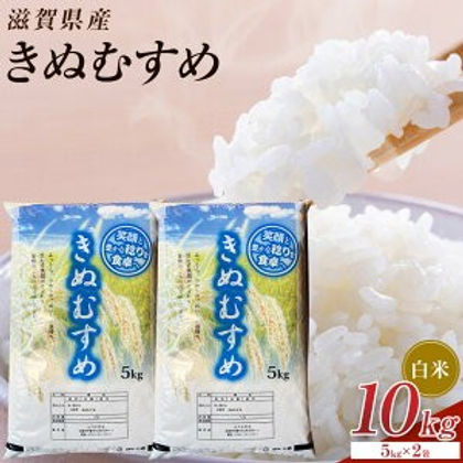 令和7年度米 きぬむすめ コシヒカリ　１０キロ 送料無料】【令和7年産】きぬむすめ 10㎏ | My Site