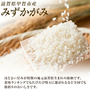 送料無料】【令和7年産】みずかがみ | My Site