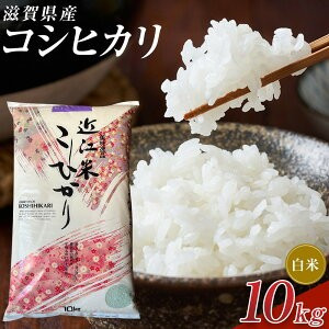 送料無料】【令和7年産】コシヒカリ 10㎏ | My Site