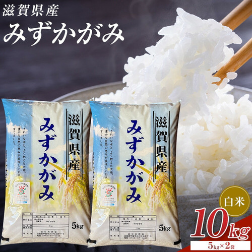 令和7年産】みずかがみ | My Site
