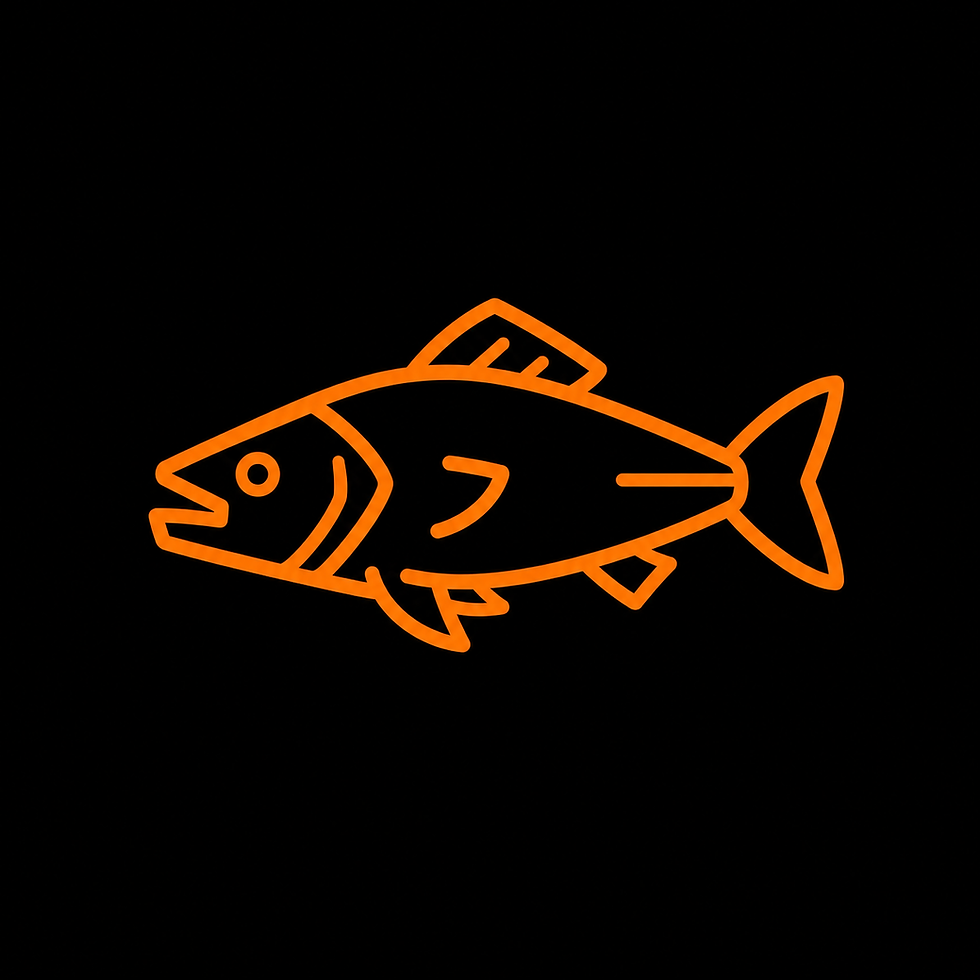 ChatGPT Image Jul 28, 2026, 09_36_40 AM.png