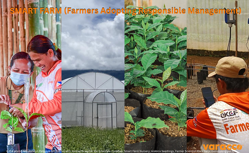 Ms. Jonalyn Pabuaya-BPI Trainer with Farmer-Scientist Ms. Emelinda Conahap; Smart Farm Nursery; Arabica Seedlings; Farmer Sci