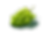 shutterstock_2044669220.png