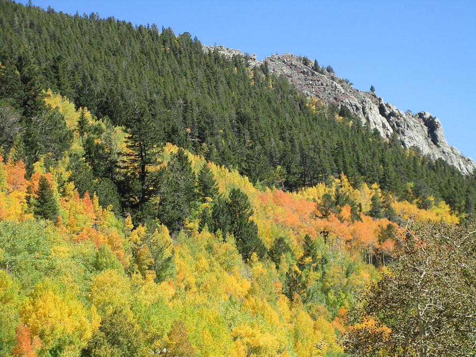 Monarch Pass, Colorado September