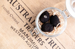 Australian Truffle Traders,Truffle Hunt, Book Truffle Hunt, Truffle Hunting, Manjimup, Western Austr