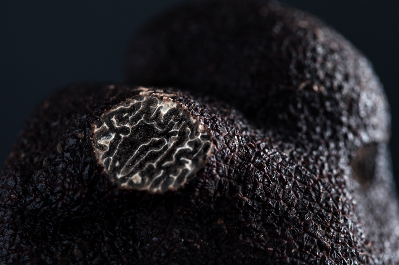 Trade & Hospitality Sales Enquiries Australian Truffle, Tuber