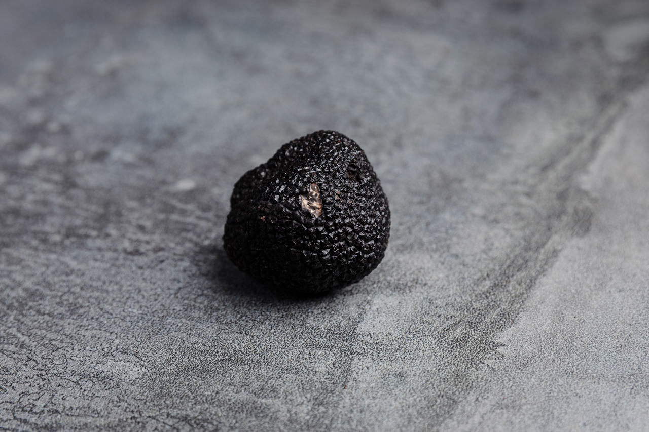 Trade & Hospitality Sales Enquiries Australian Truffle, Tuber