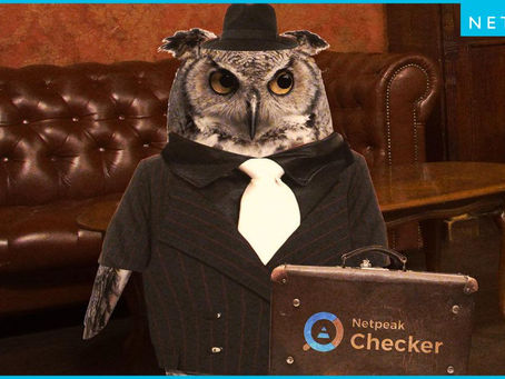Netpeak Checker Crack With Keygen