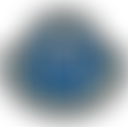 Utmerkelser i Hamar IL