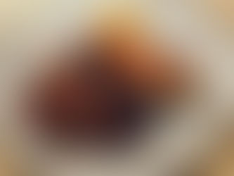 土窑里燃烧的烤物:Barkar, KL