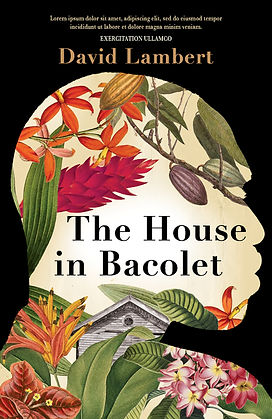 The House in Bacolet.jpg