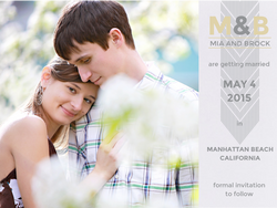 BEADED CURTAIN SAVE THE DATE GRAY TAN