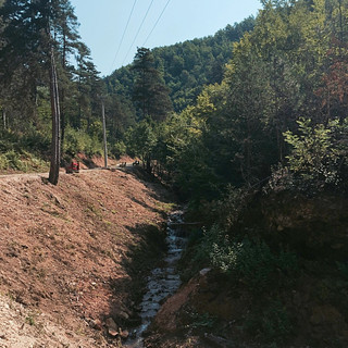 65f8ed_8bc7ffee6b1c4fcf8c539fa400fdda15~mv2_d_1950_2600_s_2.jpg