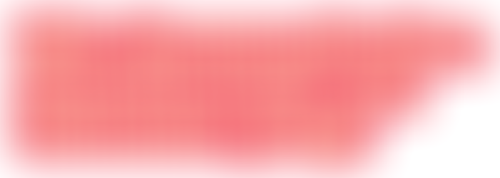 Online-Workshop „Leichte und Einfache Sprache“