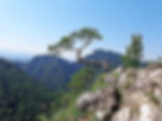 mountains-885360_1920