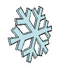 snowflake_tumbling_lg_clr.gif
