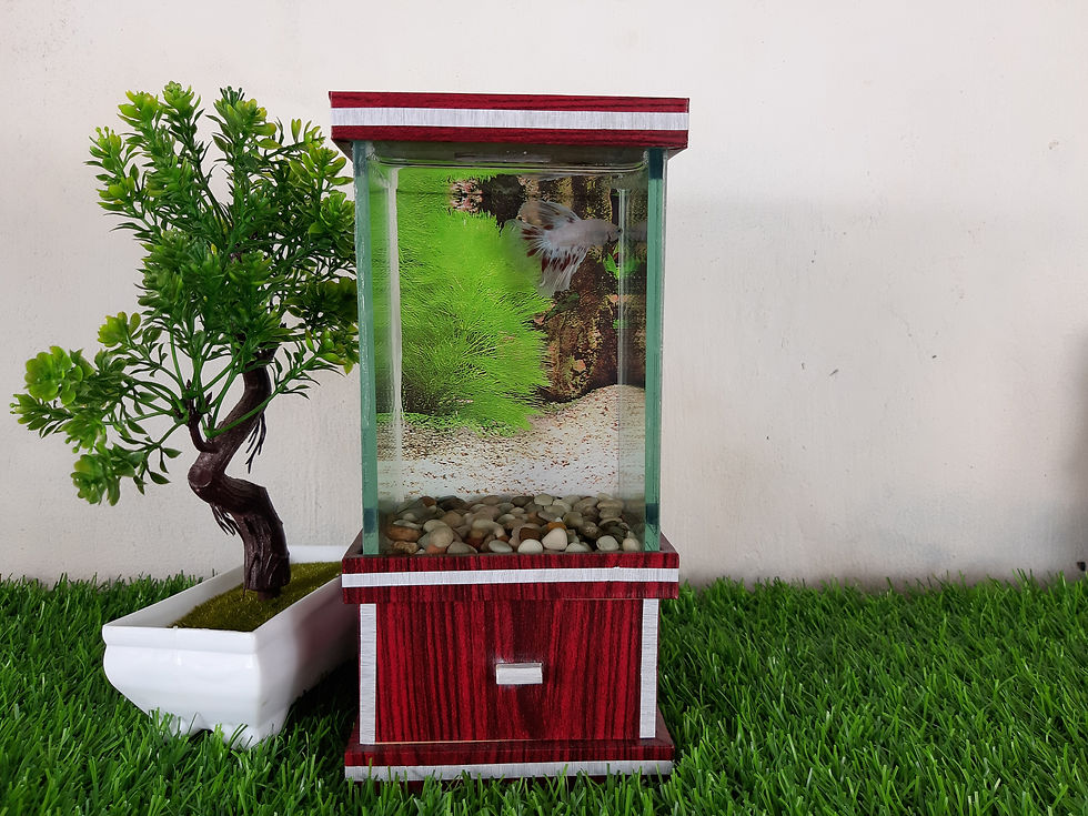 Thumbnail: AQUARIUM A10