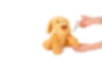 Plush Bear 02.jpg