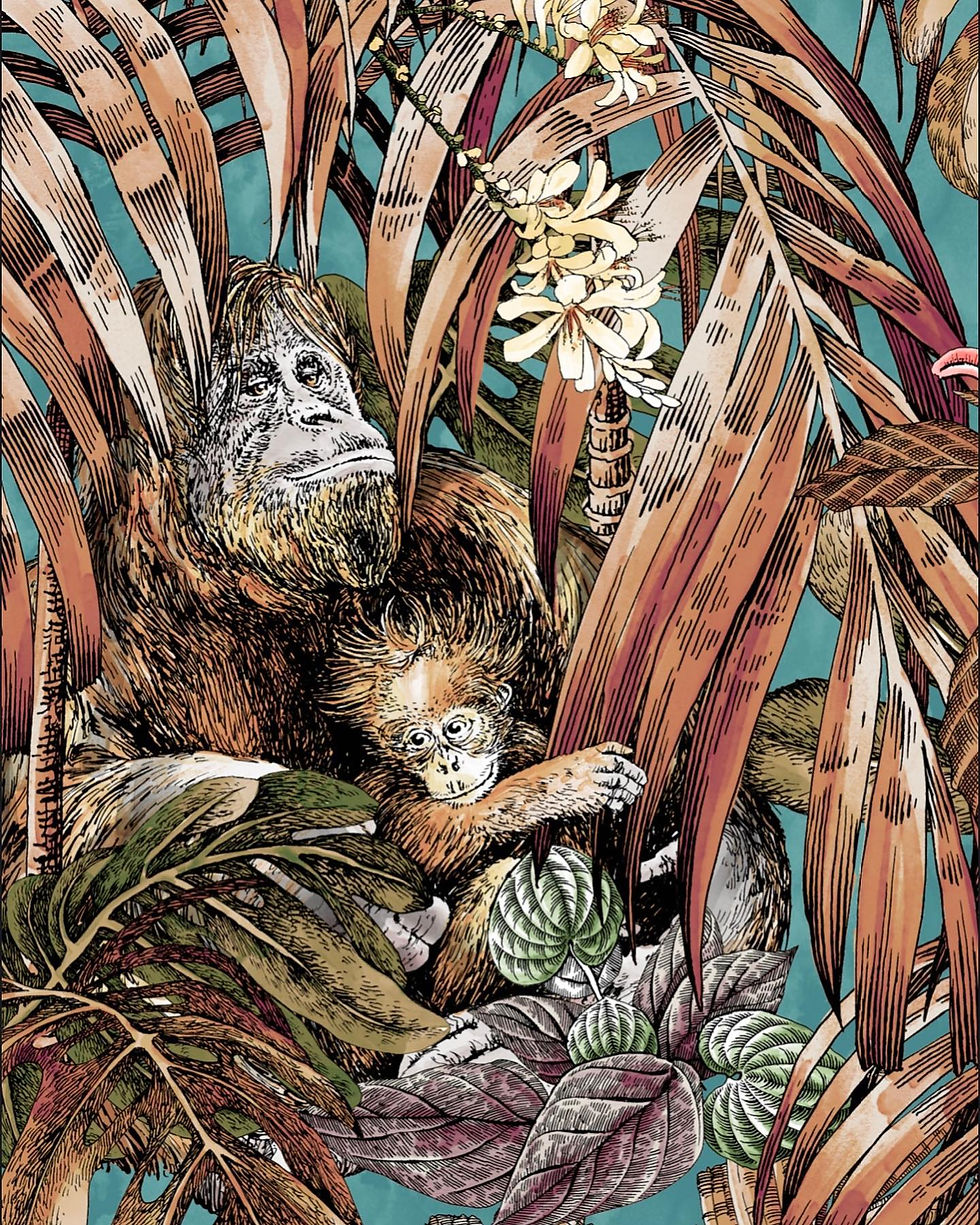 Прев'ю: Sumatra Rainforest