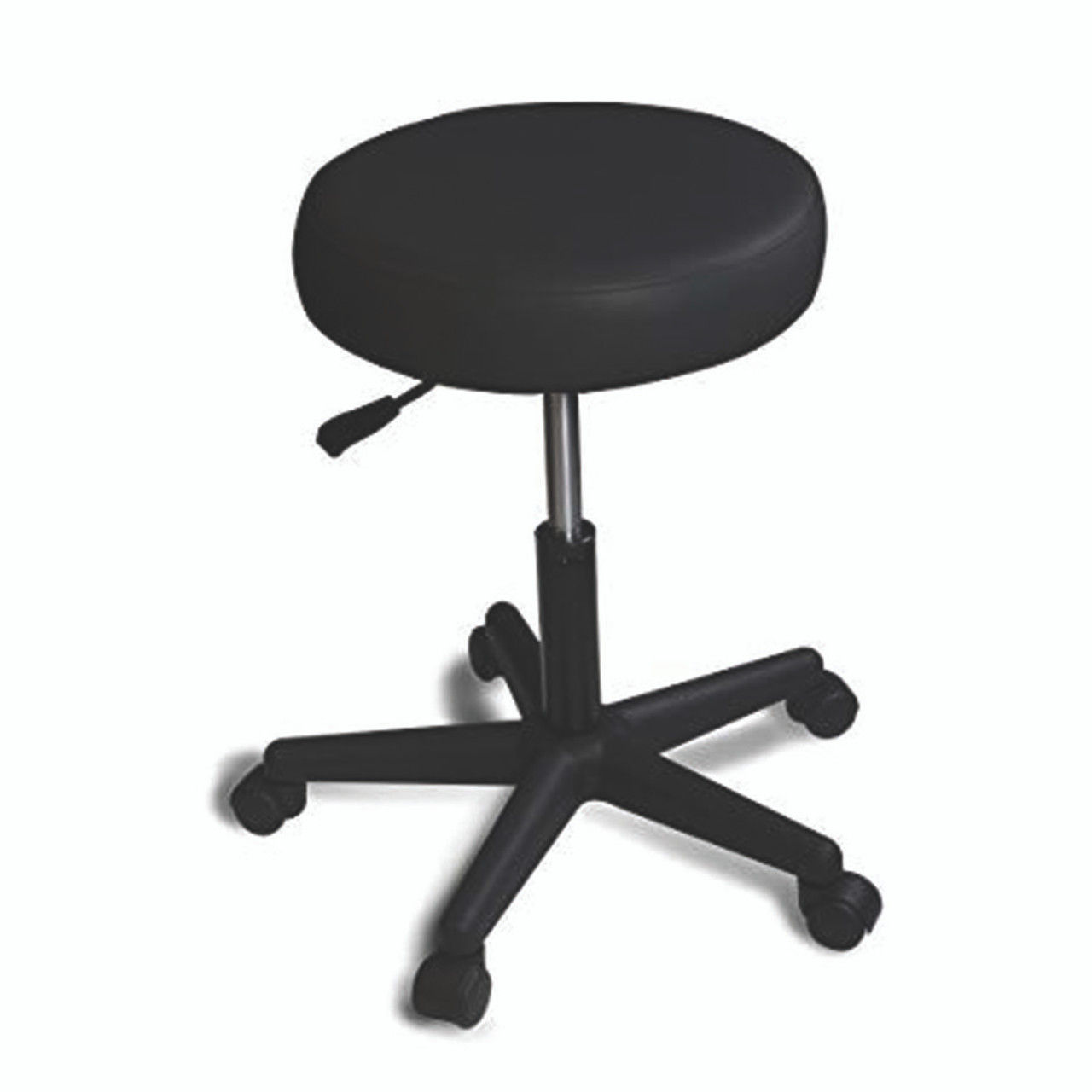 Swivel Posing Stool