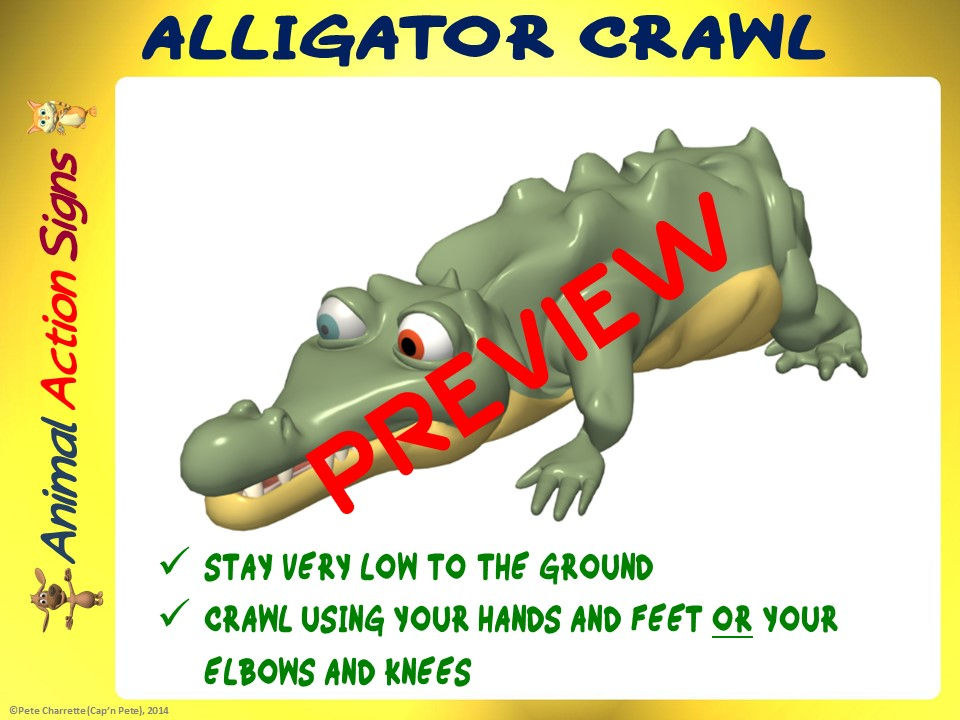 Thumbnail: Animal Action- PE Activity and 25 Movement Signs