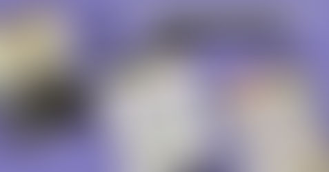 PE Visuals: Maximizing Engagement and Learning Using Physical Education Posters