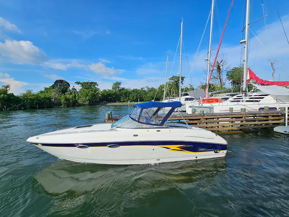 CHAPARRAL 265 SSI MODELO 2001