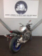 WhatsApp Image 2024-01-11 at 9.19.32 AM (1) - copia