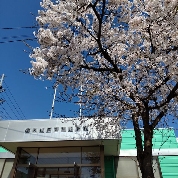 写真2.JPG