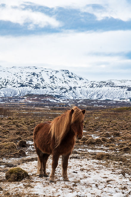 2203-IcelandNikon-I-189.jpg