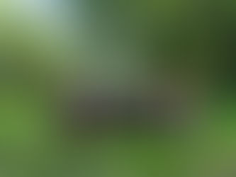 Unexpected News: Looking for Land