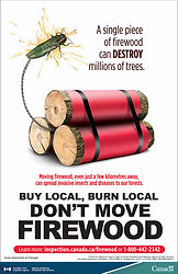 firewood_poster_eab_1623854003633_eng.jpg