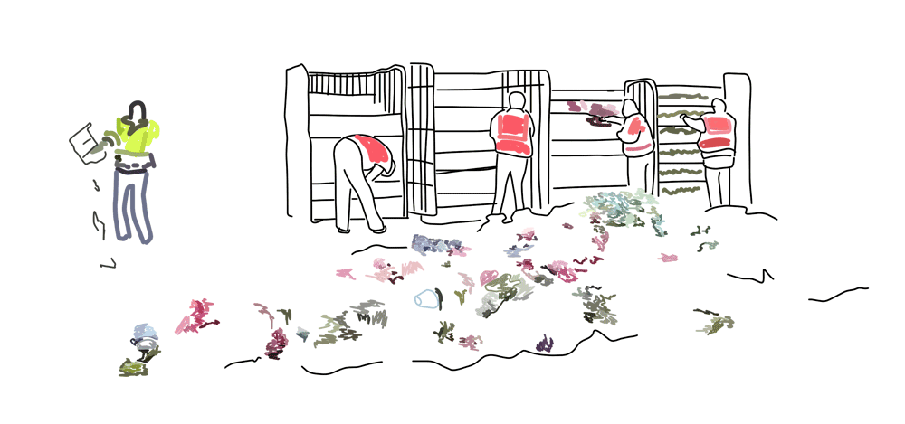 fiori4.gif