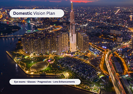 Domestic Vision Plan.png