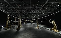 557600746_1231393109028199_6441748082545964415_n