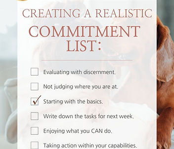 Realistic Commitments