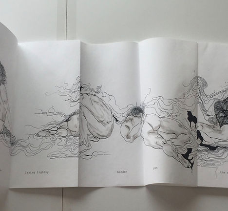 Concealed Apertures: book