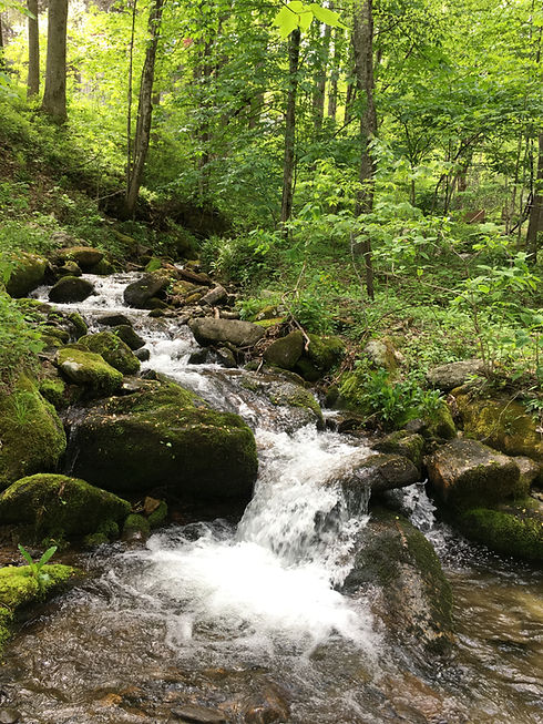 WinchesterCreek.jpeg