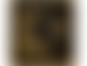 After the NATO Summit, from LA to NYC, with the SCOTUS in Between: The American Storm Still Rages