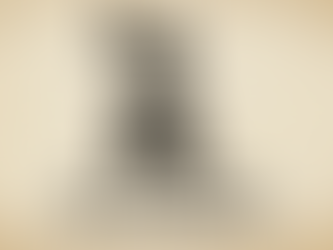 As a Democrat and a Republican: What I Want Is Not Hard to Understand