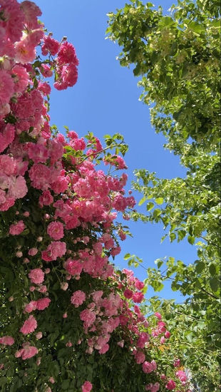 May is around the corner
