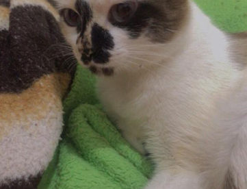 WhatsApp Image 2022-10-16 at 12.39.22 (1).jpeg