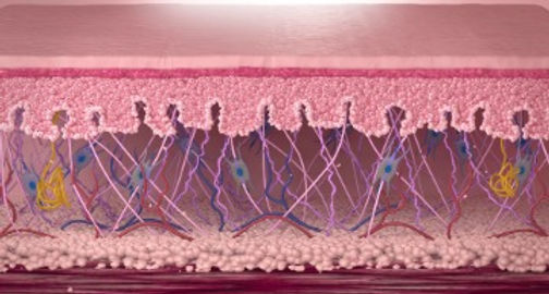 thumb_Skincare thumbnail illustrations.jpg