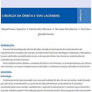 Captura de tela 2024-09-30 215903.png