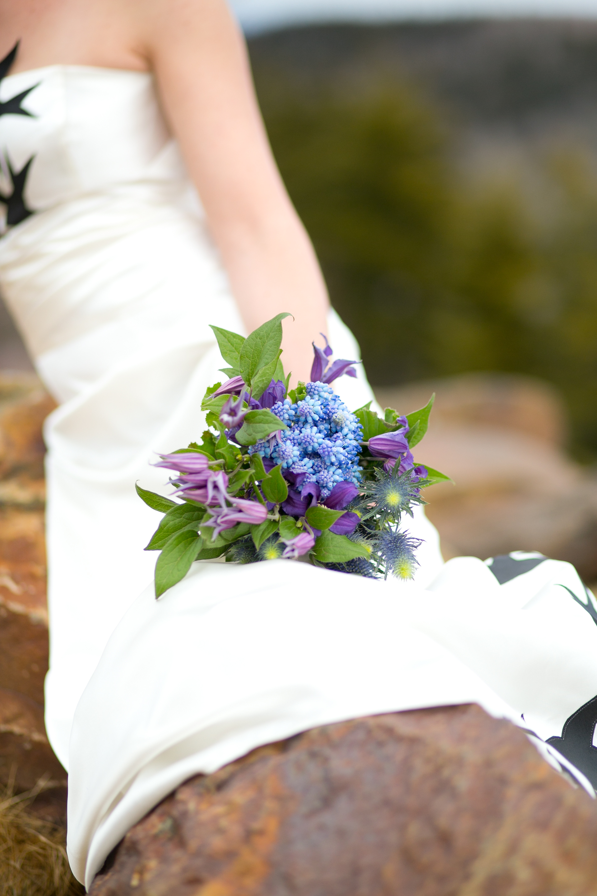 Springy Purple Hues