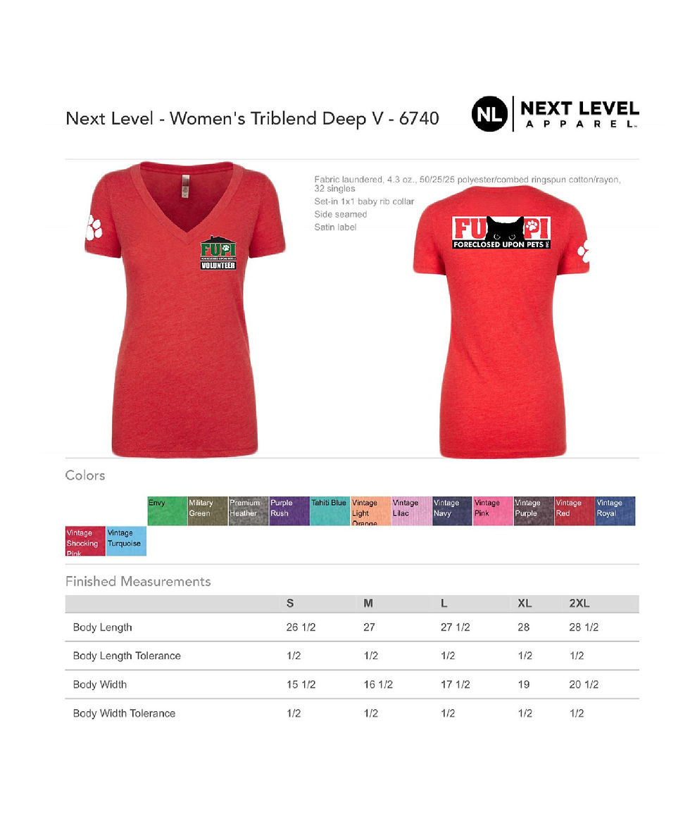 Thumbnail: Next Level Ladies' Triblend Deep V