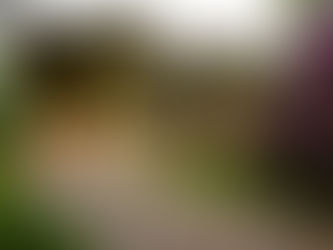 Muzejs vērs durvis apmeklētājiem