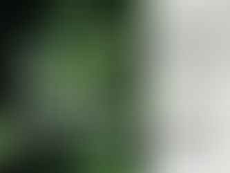 Darba laiks svētkos