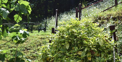The mid level terrace is where the bubbling hot tub sits