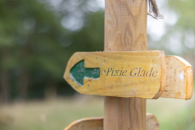 2023_07-13 Pixie Glade, Quantock Cottages - IMPACT 20twenty-5.jpg